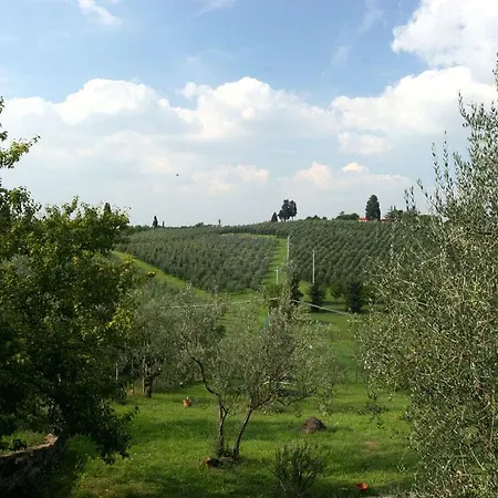 Coloniche Berni